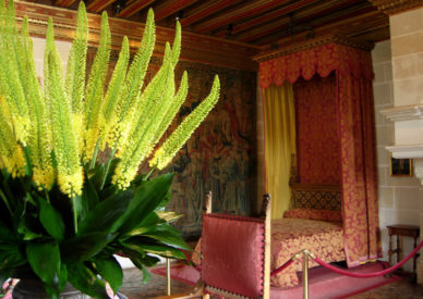 francia-086