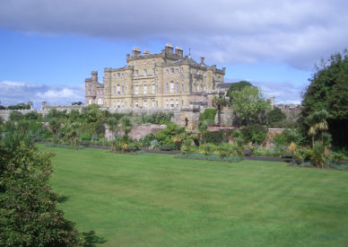19-culzean