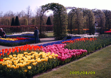DIGITAL CAMERA