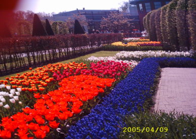 055078085084086X0302Y063105F000000000