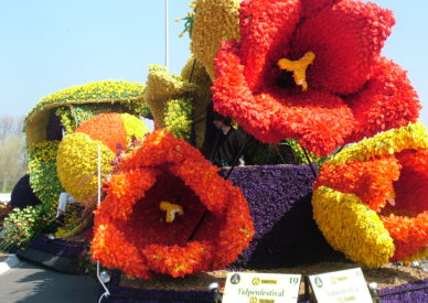 2005_0506olanda0238