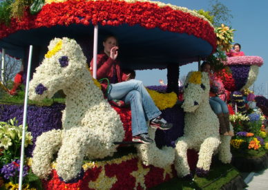 2005_0506olanda0243