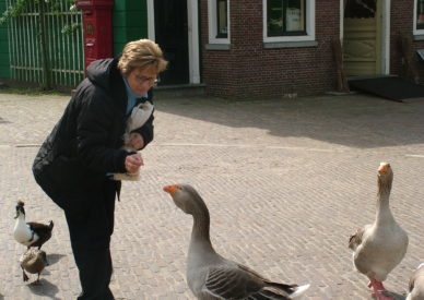 2005_0506olanda0325