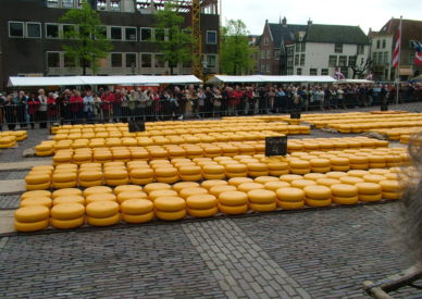 2005_0506olanda0432