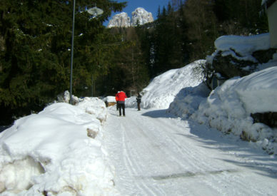 campitello-di-fassa-116