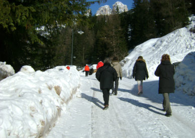 campitello-di-fassa-117