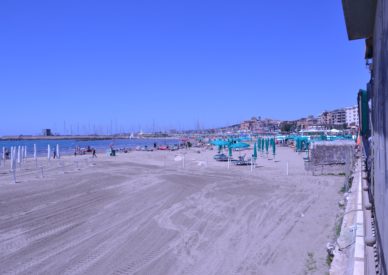 DSC_0104