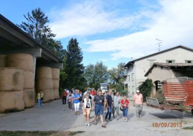 FB_IMG_1445184695100-2