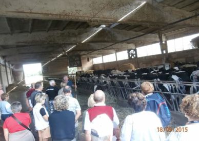 FB_IMG_1445184705198-2
