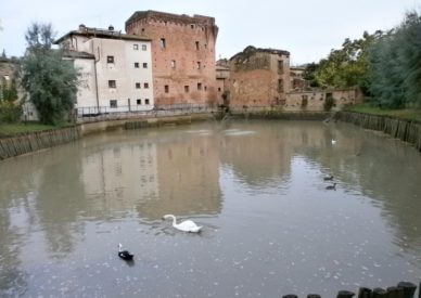 raduno-toscana-2013-etta-093-monteroni-darbia