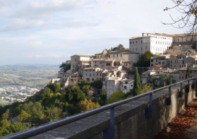todi2