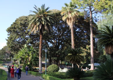 IMG_160411-Palermo giardini