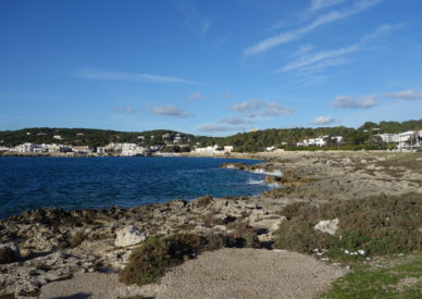 DSC05893
