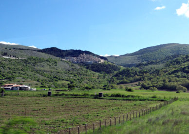 039 Castel del Monte