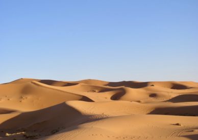MERZOUGA LE DUNE