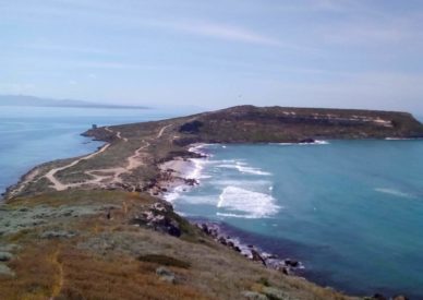 IMG-20191125-WA0019