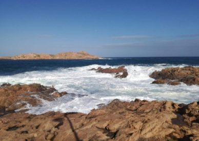 IMG-20191125-WA0057 (FILEminimizer)