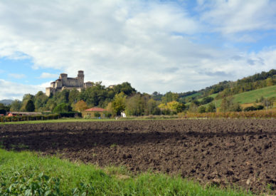 028 Torrechiara