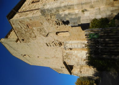 DSCN3017