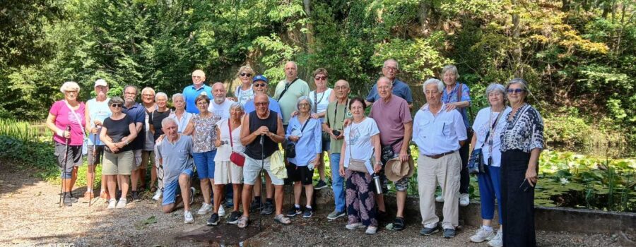 il gruppo